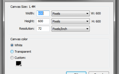 Creating a reflection effect with Adobe Fireworks in 10 easy steps.